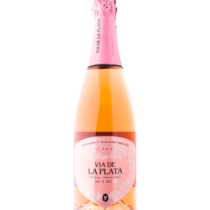 Cava Vía de la Plata Brut Rosé